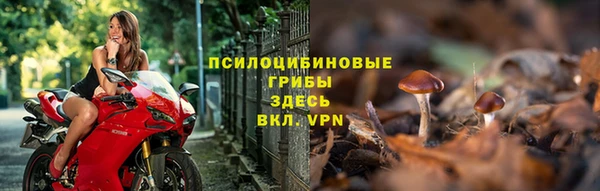 2c-b Иннополис