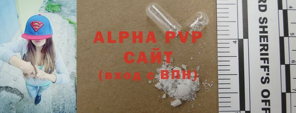 шишки Коряжма