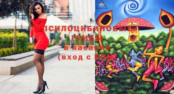 ALPHA-PVP Инсар