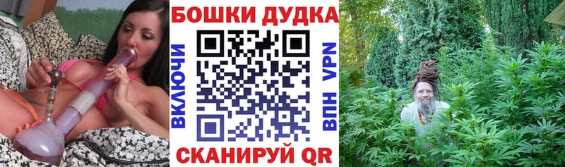 Бошки марихуана Amnesia  даркнет официальный сайт  Карасук  где купить наркотик 